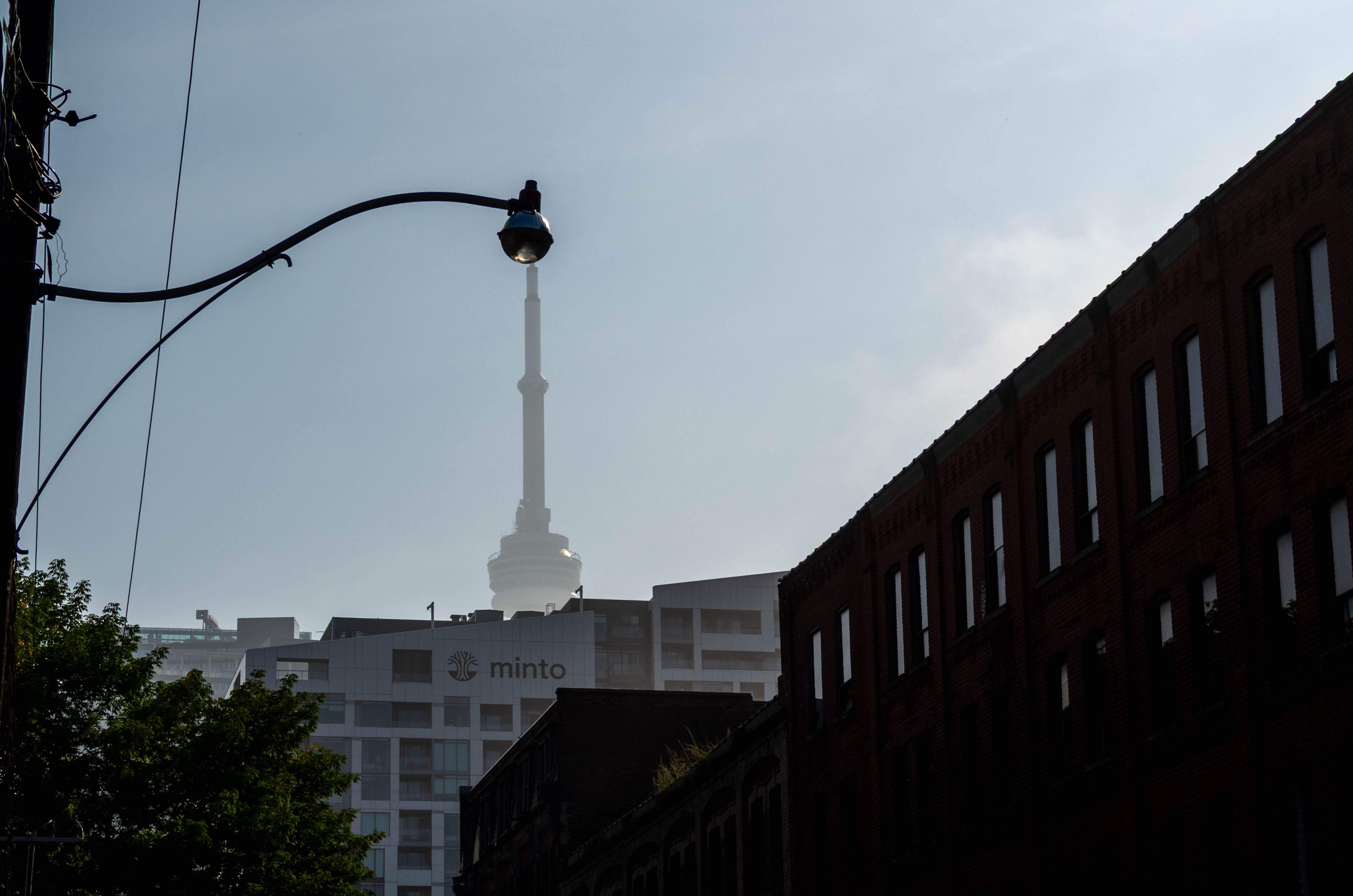 L1012655.jpg
