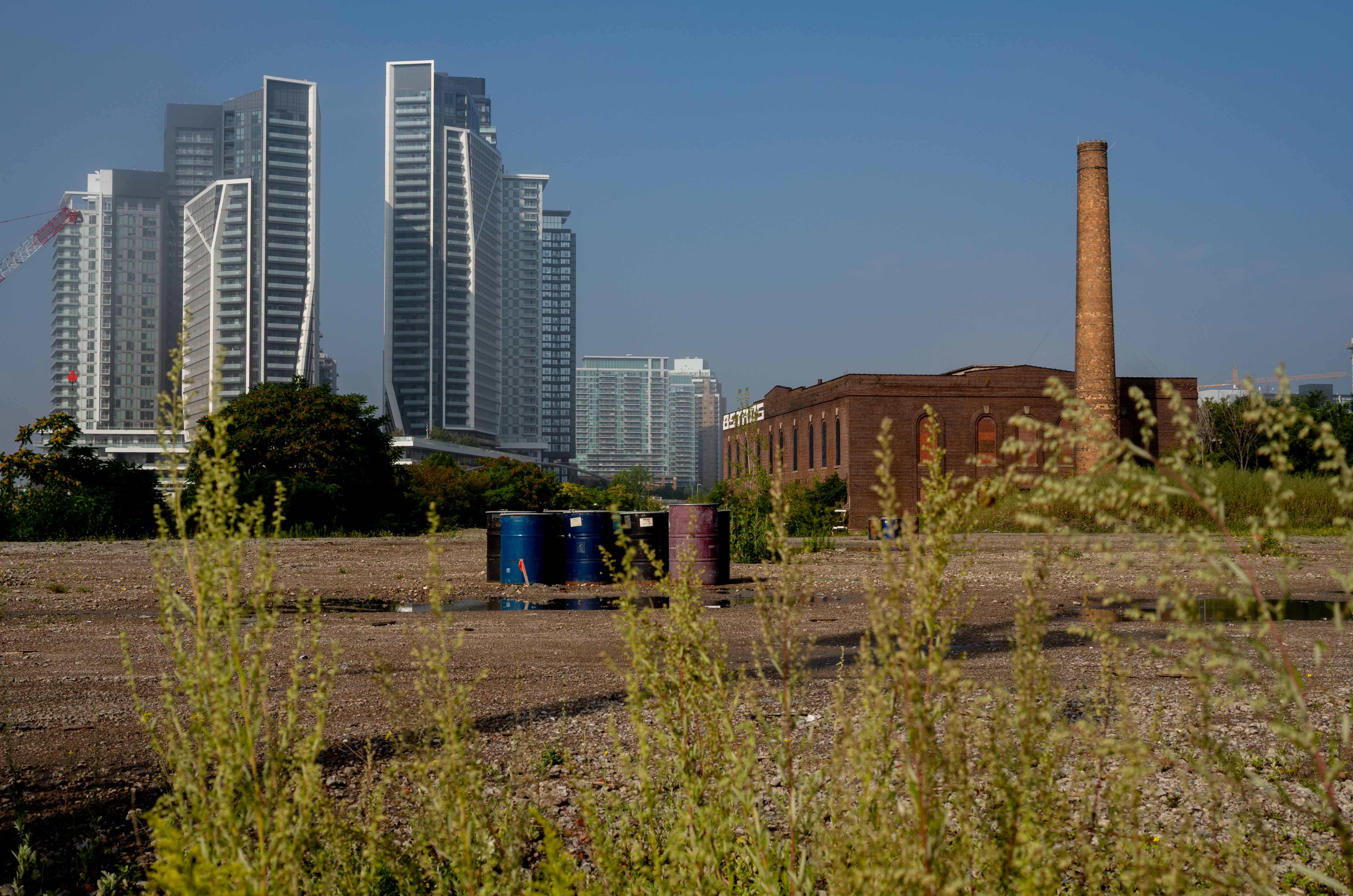 L1012679.jpg